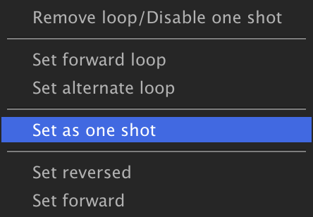Set playback type submenu with Set as one shot highlighted