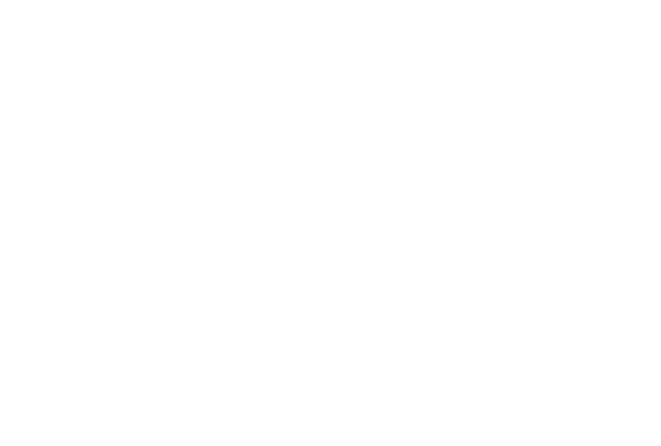 falcon